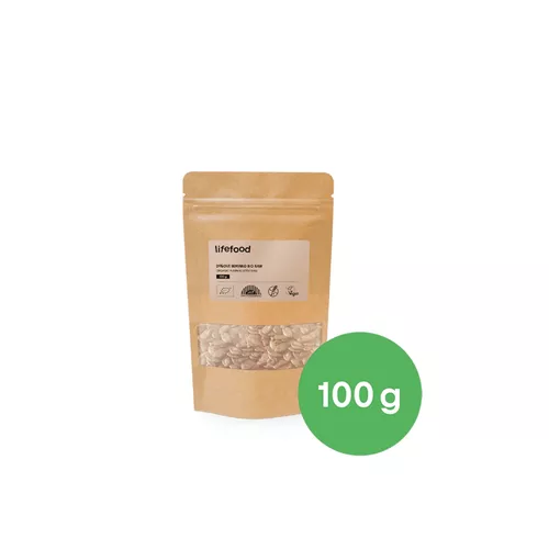 Dýňové semínko RAW BIO 100 g